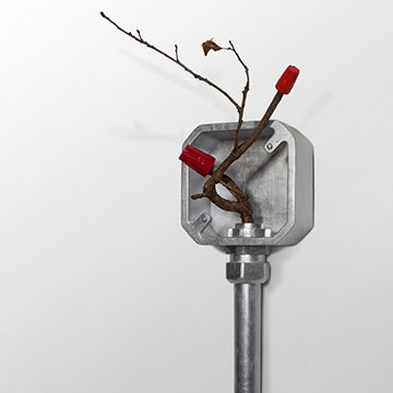 Mark Cowardin, Dead End, 2007, Wood, metal-leaf, found limb and paint 